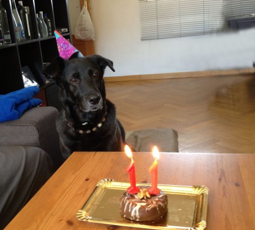 Nena en su 11 cumpleaños, toda una veterana de nuestra residencia