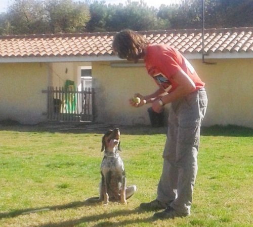 Iker tomando clases de adiestramiento con Luis