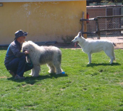 Layla y Kodran